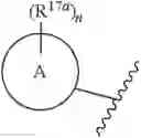 Fig. 263 - HETEROCYCLIC COMPOUNDS AND USES THEREOF