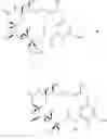 Fig. 06 - Preparation of maytansinol