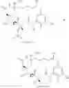 Fig. 07 - Preparation of maytansinol
