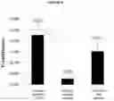 Fig. 09 - CAPTURE OF MICROVESICLES FOR DIAGNOSTIC PURPOSES