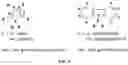 Fig. 06 - LUMINESCENT SILAFLUORENE AND GERMAFLUORENE COMPOUNDS