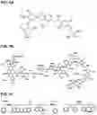 Fig. 02 - SILYLATIONS OF AROMATIC SUBSTRATES WITH BASE-ACTIVATED ORGANOSILANES