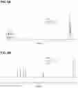 Fig. 06 - SILYLATIONS OF AROMATIC SUBSTRATES WITH BASE-ACTIVATED ORGANOSILANES