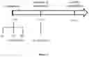 Fig. 06 - STRUCTURED MOLECULAR VECTORS FOR ANTI-INFLAMMATORY COMPOUNDS AND USES THEREOF