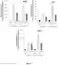 Fig. 09 - STRUCTURED MOLECULAR VECTORS FOR ANTI-INFLAMMATORY COMPOUNDS AND USES THEREOF