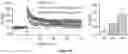 Fig. 22 - STRUCTURED MOLECULAR VECTORS FOR ANTI-INFLAMMATORY COMPOUNDS AND USES THEREOF