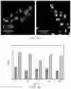 Fig. 15 - ANTIMICROBIAL AGENT