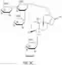 Fig. 04 - HIGH-PURITY STEVIOL GLYCOSIDES