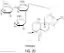 Fig. 05 - HIGH-PURITY STEVIOL GLYCOSIDES