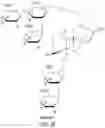 Fig. 07 - HIGH-PURITY STEVIOL GLYCOSIDES