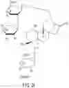 Fig. 10 - HIGH-PURITY STEVIOL GLYCOSIDES