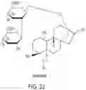 Fig. 11 - HIGH-PURITY STEVIOL GLYCOSIDES