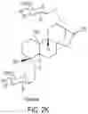 Fig. 12 - HIGH-PURITY STEVIOL GLYCOSIDES