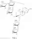 Fig. 13 - HIGH-PURITY STEVIOL GLYCOSIDES
