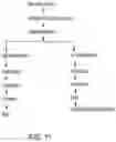 Fig. 22 - HIGH-PURITY STEVIOL GLYCOSIDES