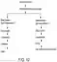 Fig. 23 - HIGH-PURITY STEVIOL GLYCOSIDES