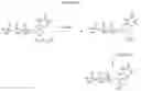 Fig. 03 - NUCLEOTIDE ANALOGUES