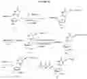 Fig. 08 - NUCLEOTIDE ANALOGUES