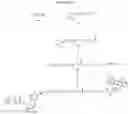 Fig. 10 - NUCLEOTIDE ANALOGUES