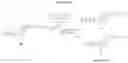 Fig. 14 - NUCLEOTIDE ANALOGUES