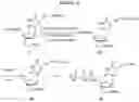Fig. 18 - NUCLEOTIDE ANALOGUES