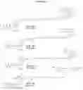 Fig. 21 - NUCLEOTIDE ANALOGUES