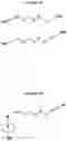Fig. 24 - NUCLEOTIDE ANALOGUES