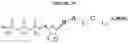 Fig. 25 - NUCLEOTIDE ANALOGUES