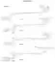 Fig. 40 - NUCLEOTIDE ANALOGUES