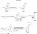 Fig. 50 - NUCLEOTIDE ANALOGUES