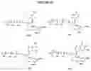 Fig. 61 - NUCLEOTIDE ANALOGUES
