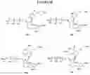 Fig. 63 - NUCLEOTIDE ANALOGUES