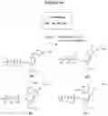 Fig. 64 - NUCLEOTIDE ANALOGUES