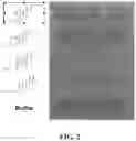 Fig. 03 - SHIP INHIBITORS AND USES THEREOF