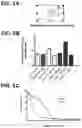 Fig. 06 - SHIP INHIBITORS AND USES THEREOF