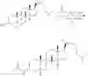 Fig. 10 - SHIP INHIBITORS AND USES THEREOF