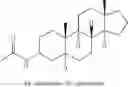 Fig. 25 - SHIP INHIBITORS AND USES THEREOF