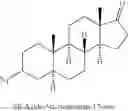 Fig. 27 - SHIP INHIBITORS AND USES THEREOF