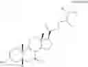 Fig. 19 - METHOD FOR PREPARING CHENODEOXYCHOLIC ACID DERIVATIVE