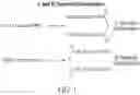 Fig. 02 - NOVEL a4B7 PEPTIDE MONOMER AND DIMER ANTAGONISTS