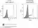 Fig. 01 - NOVEL COMPOUNDS AND THERAPEUTIC USES THEREOF