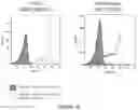 Fig. 02 - NOVEL COMPOUNDS AND THERAPEUTIC USES THEREOF