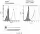 Fig. 07 - NOVEL COMPOUNDS AND THERAPEUTIC USES THEREOF