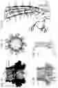 Fig. 02 - Protein pores
