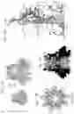Fig. 13 - Protein pores
