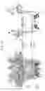 Fig. 14 - Protein pores