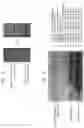 Fig. 15 - Protein pores