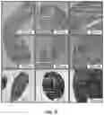 Fig. 05 - Control of and imaging techniques for protein nanoscaffolds