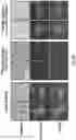 Fig. 07 - Control of and imaging techniques for protein nanoscaffolds