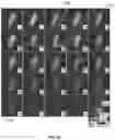 Fig. 09 - Control of and imaging techniques for protein nanoscaffolds